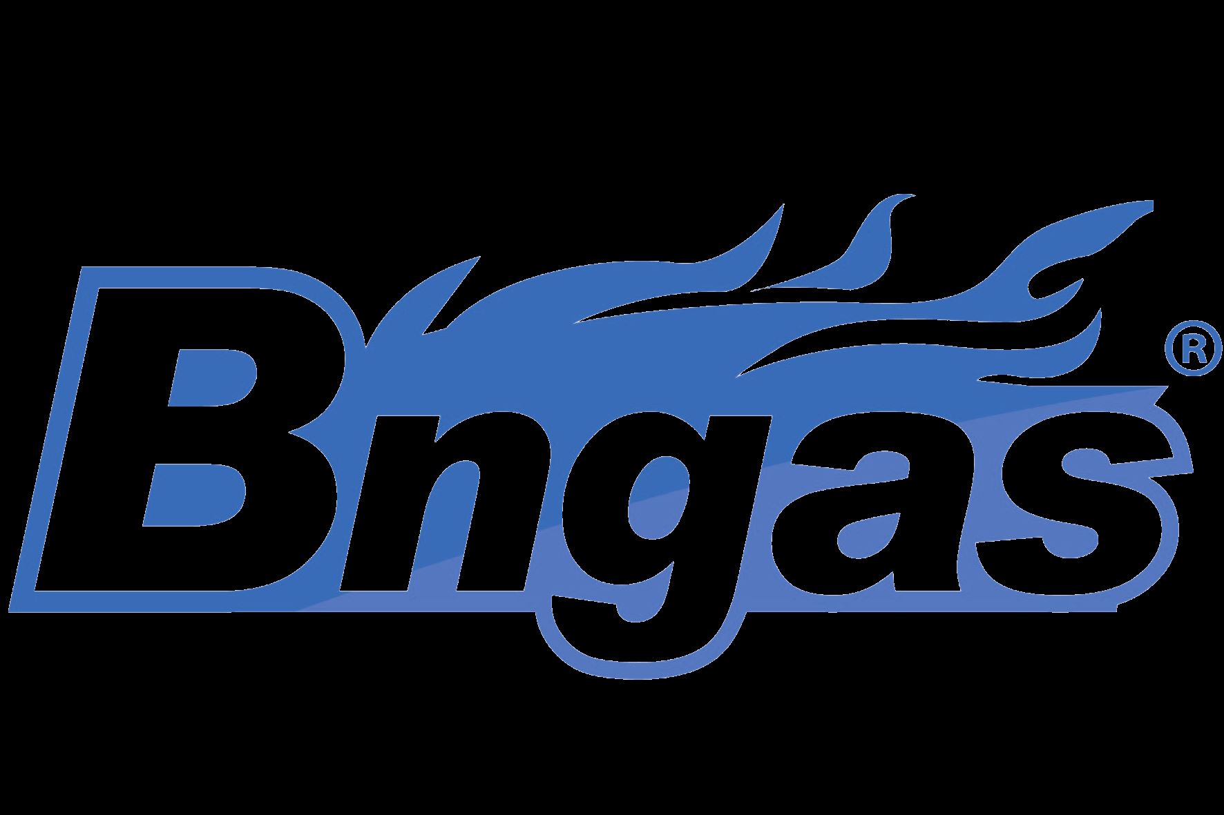 Changxing Benneng Gas Appliance Co., Ltd. Logo