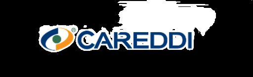 Careddi Technology Co., Ltd. Logo