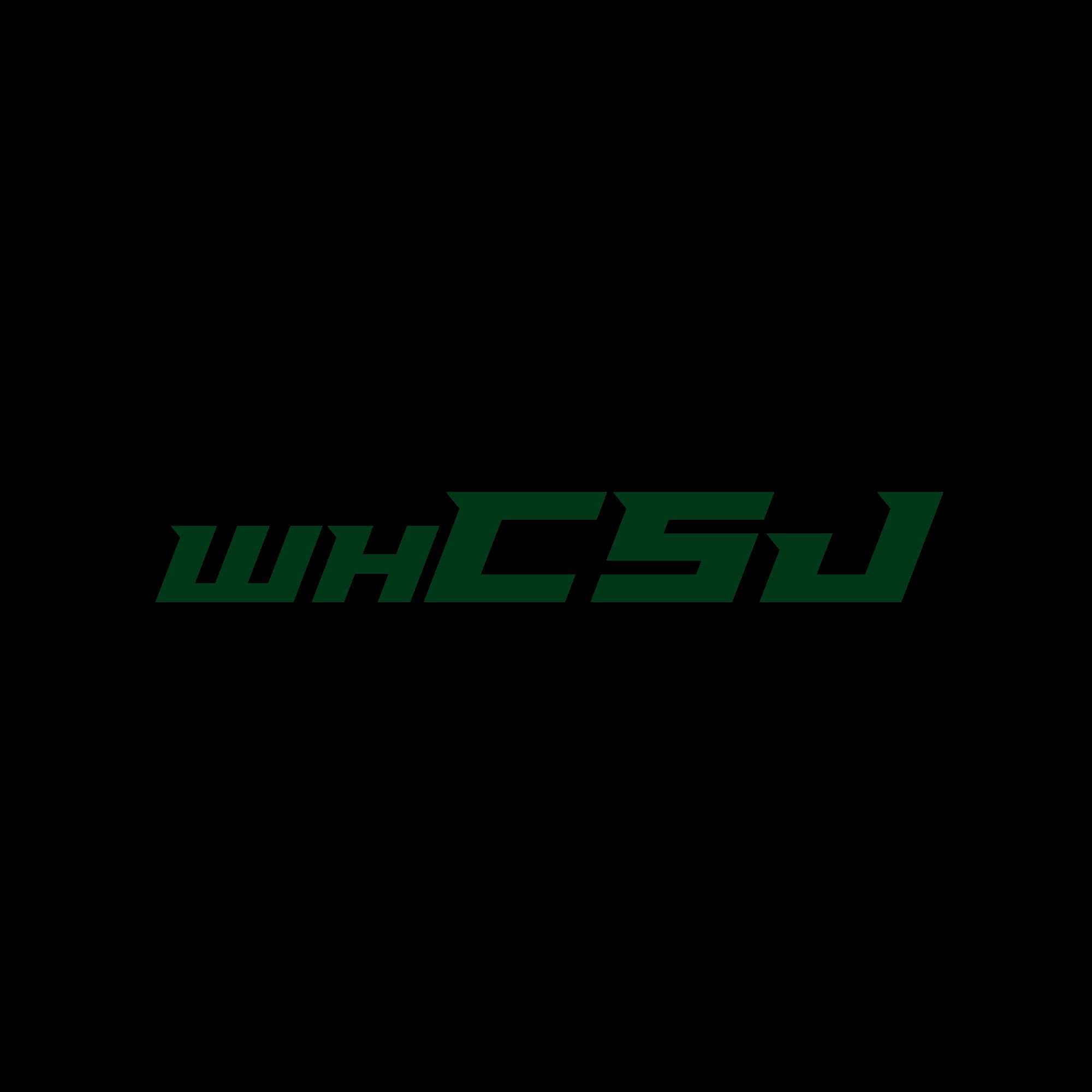 Wuhan Chuangshijia Trading Co., Ltd. Logo