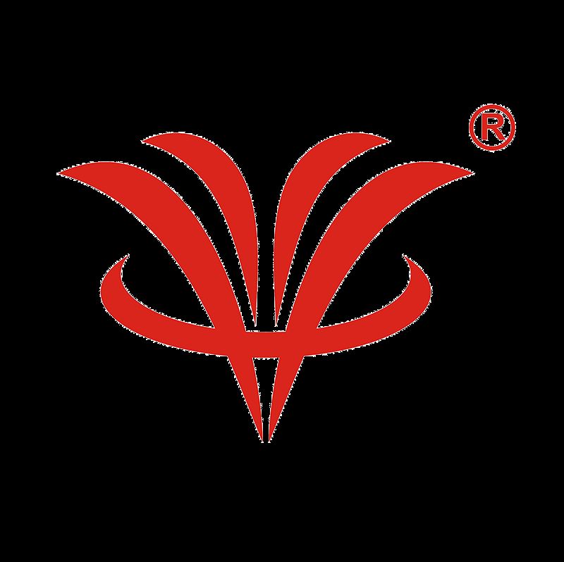 Shenzhen Pro Vision Technology Co., Ltd. Logo