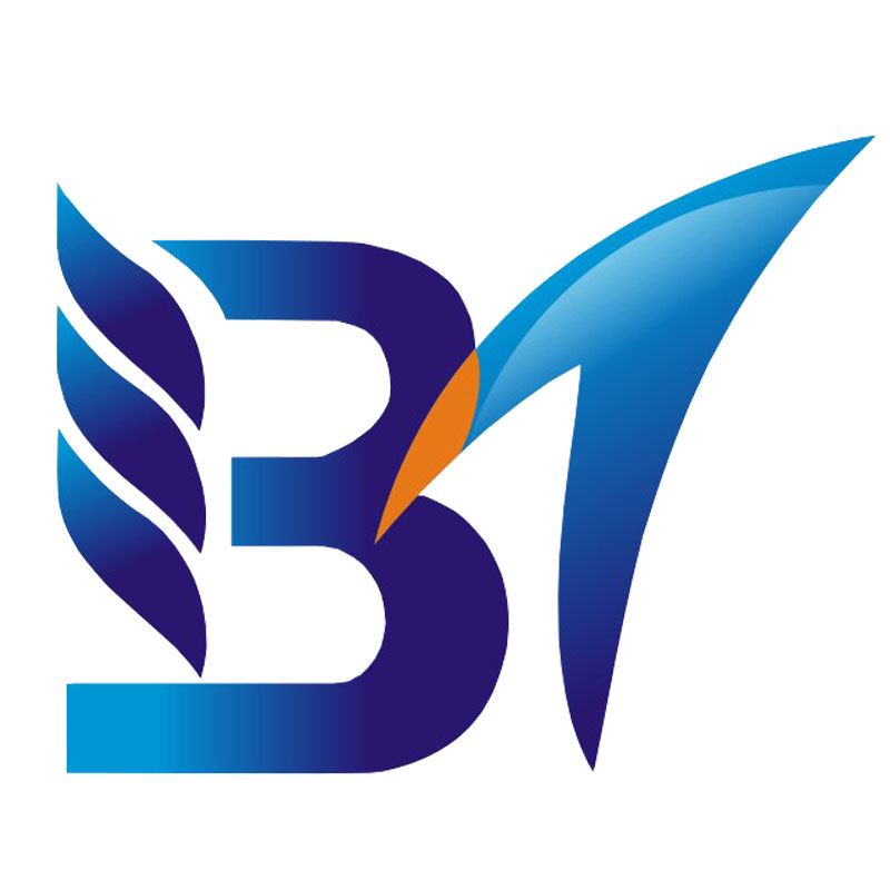 Kaifeng Baite Flow Instrument Co., Ltd. Logo