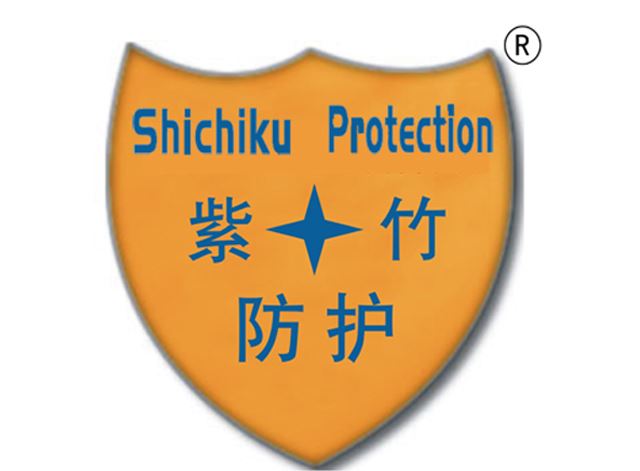 Shanghai ZiXi Technology Co., Ltd. Logo