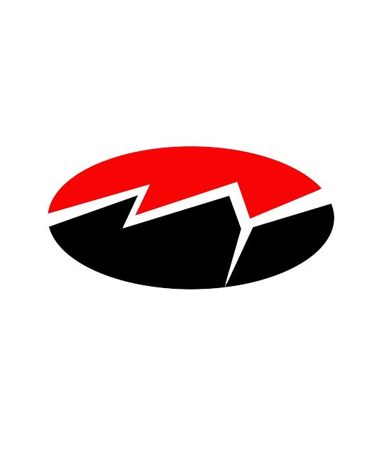 Shantou Zhenyao Garments Co., Ltd. Logo
