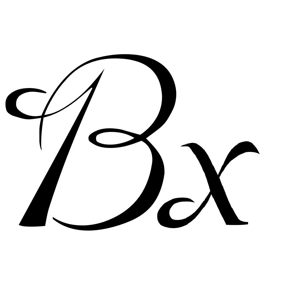 Dongguan Boxiang Garment Co., Ltd. Logo