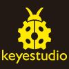 Shenzhen Keyes DIY Robot Co., Ltd. Logo