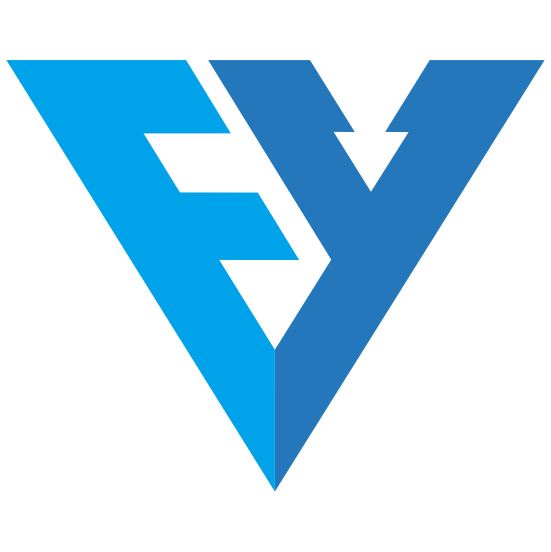 Shanghai Feiyu Packaging Machinery Co., Ltd. Logo