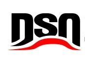 Foshan Dingshili Automobile Parts Co., Ltd. Logo