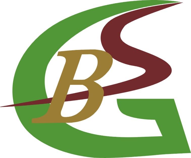 Foshan Nanhai Baisiguang Lighting Co., Ltd. Logo