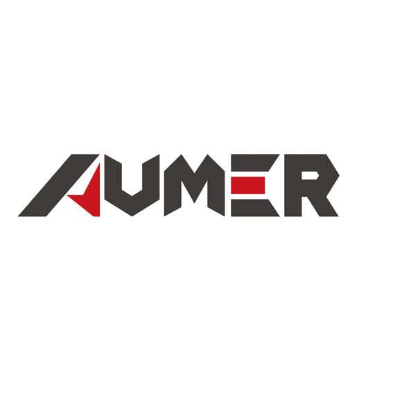 Wuhu Aumer Automobile Parts Manufacture Co., Ltd. Logo