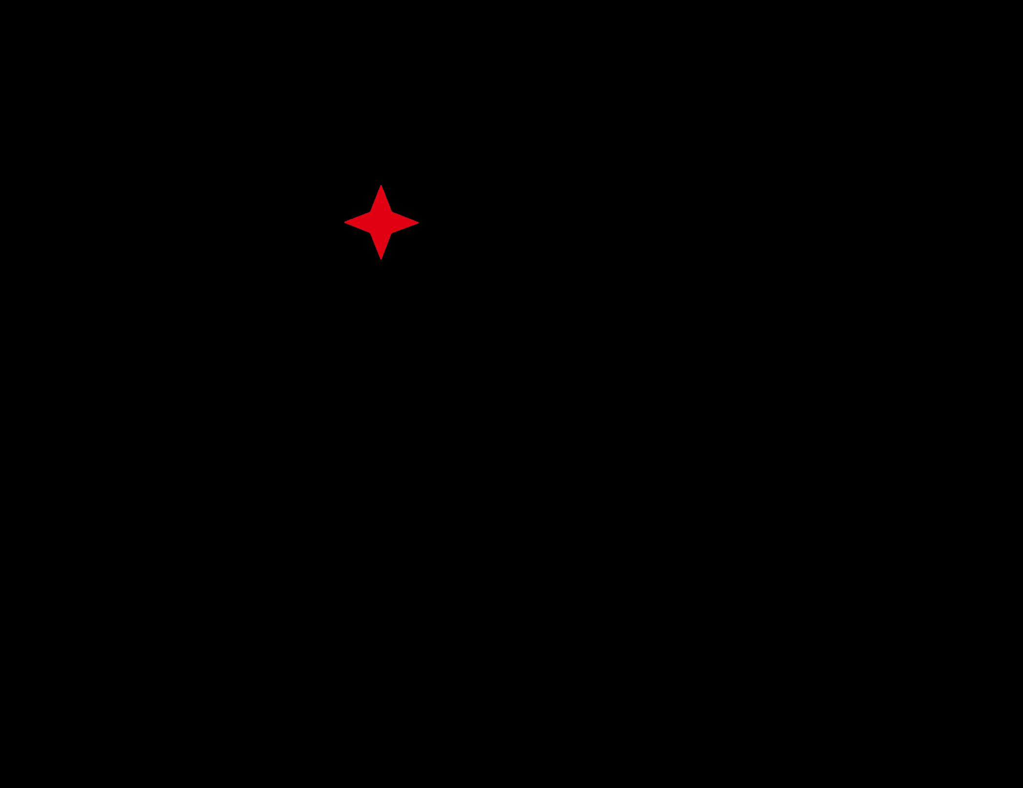 Hengshui Bozhong Automotive Parts Co., Ltd Logo