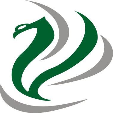 Qingdao Fly Bags Co., Ltd. Logo