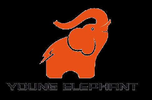 Henan Yaan Electric Power Technology Co.,Ltd Logo