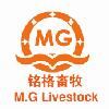 Qingdao Mingge Livestock Equipment Co., Ltd. Logo