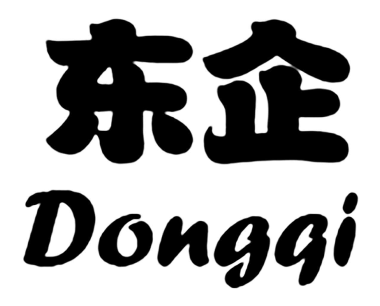 Shijiazhuang Dongqi Technology Co., Ltd. Logo