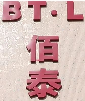 Zhongshan Baitai Lighting Electrical Co., Ltd. Logo