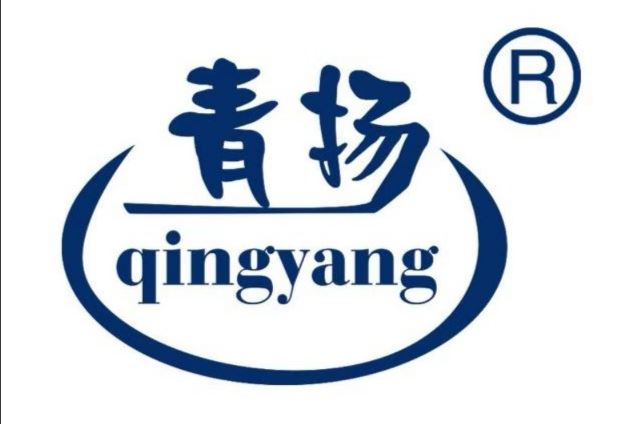 Zhejiang Qingyang Electronic Technology Co., Ltd. Logo