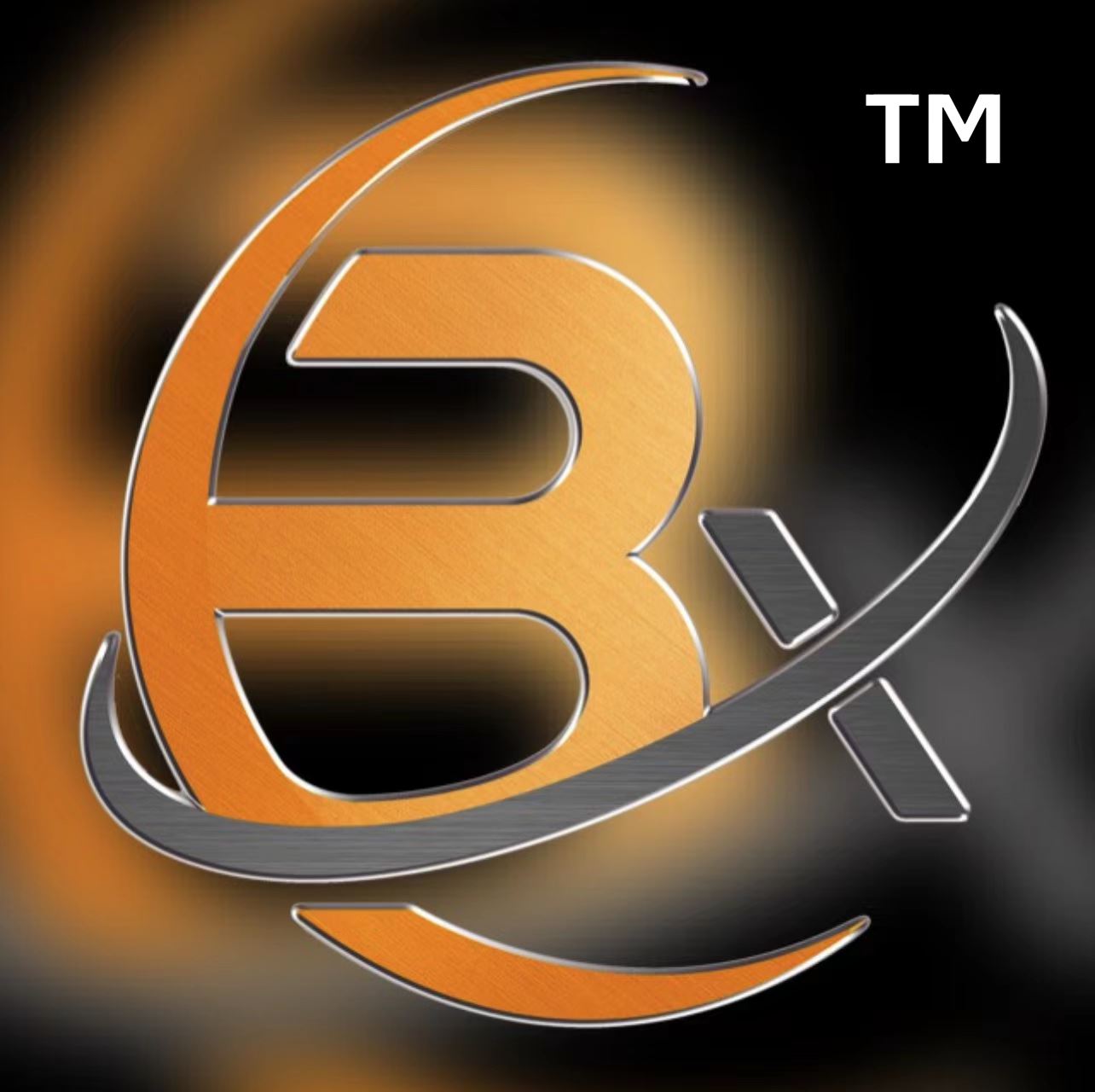 Wenzhou Baxin Import & Export Co., Ltd. Logo