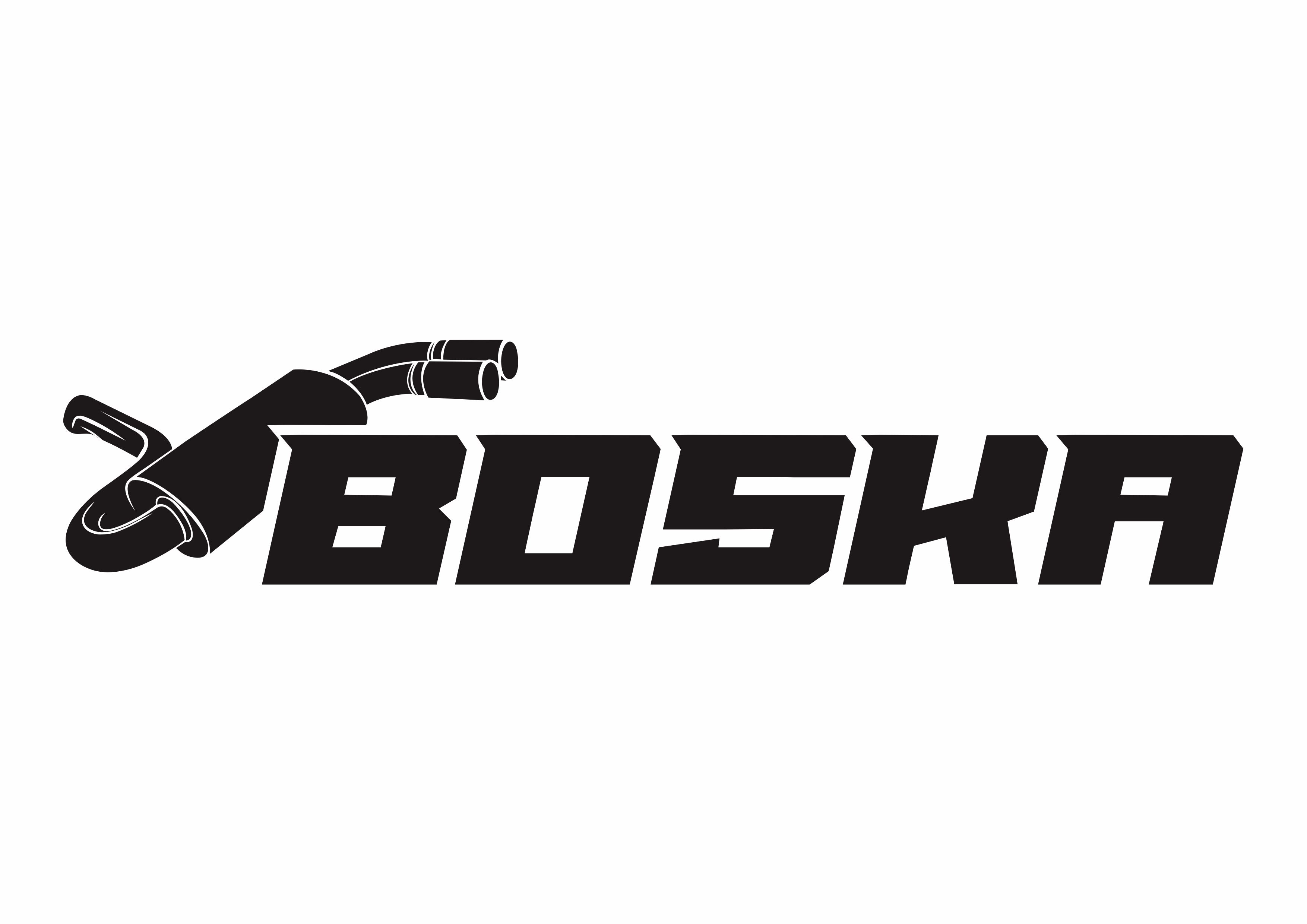 Jiangxi Boska Trading Co., Ltd. Logo