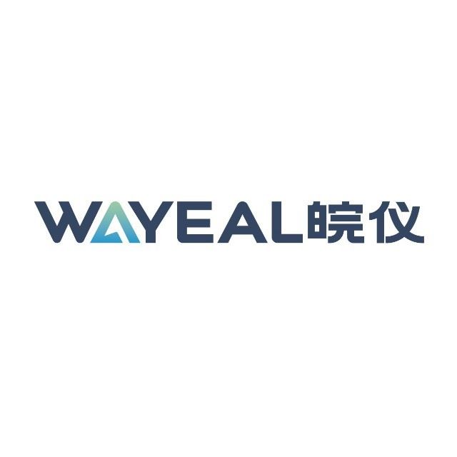 Anhui Wanyi Science And Technology Co., Ltd. Logo