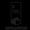 Linhai Newlanston Arts And Crafts Co., Ltd. Logo