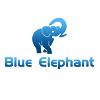 Zhongshan Big Blue Elephant Lighting Co., Ltd. Logo