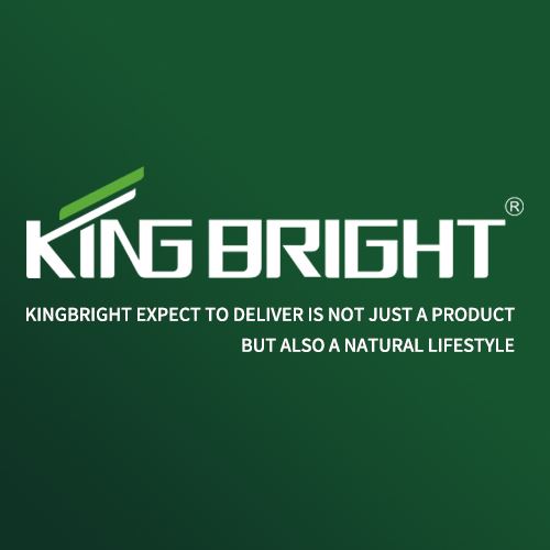 Foshan Kingbright Home Appliances Industrial Co., Ltd. Logo