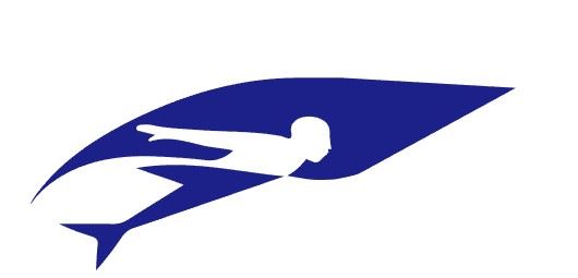 Dongguan Hitop Sports Goods Co., Ltd. Logo