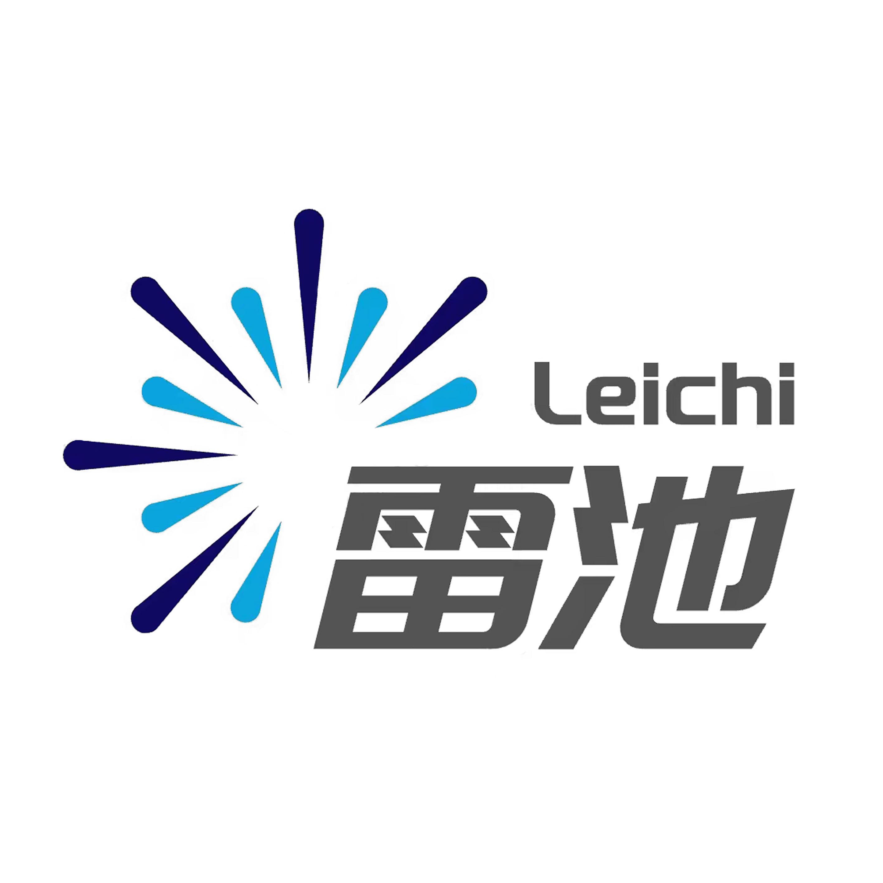 Hangzhou Leichi Science & Technology Company Limited Logo