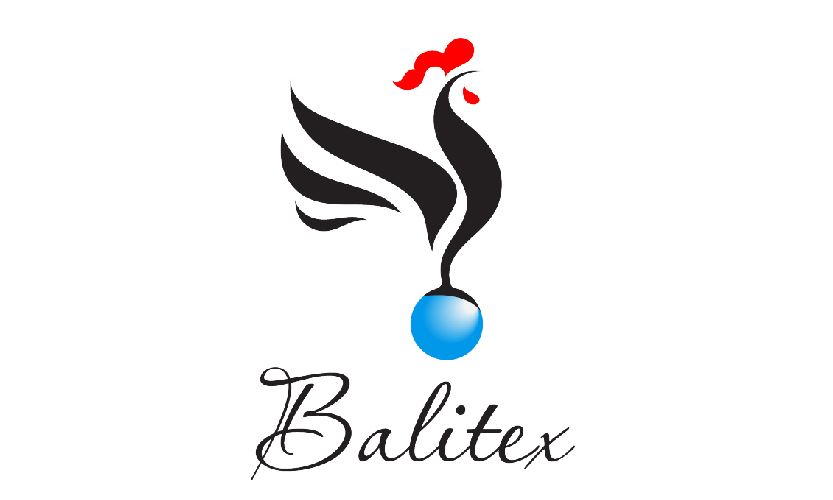 BALITEX VIET NAM JOINT STOCK COMPANY Logo