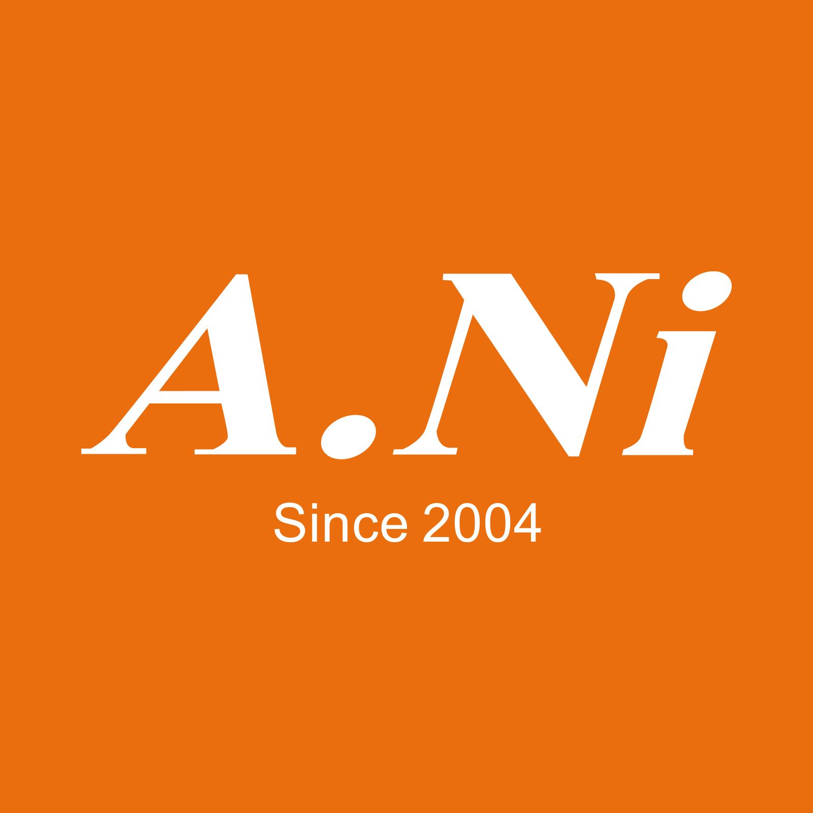 Ningbo A.ni International Trade Co., Ltd. Logo