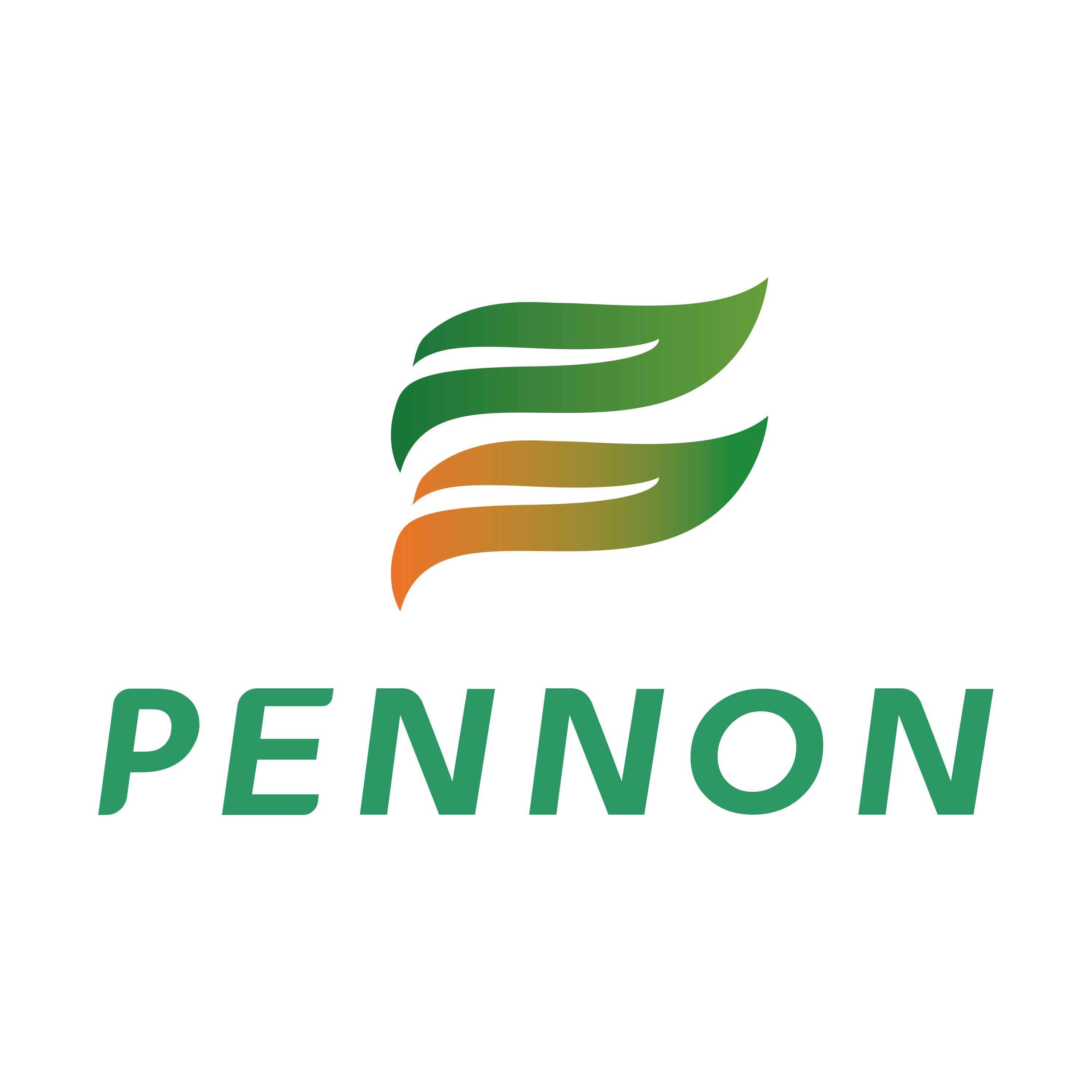 Pennon Environmental Technology (Zhejiang) Co., Ltd. Logo