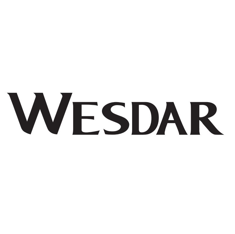 Guangzhou Wesdar Electronic Technology Co., Ltd. Logo