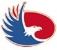 Yongkang Huaying Weighing Apparatus Co., Ltd. Logo