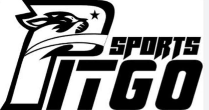 FITGO SPORTS WEAR Logo